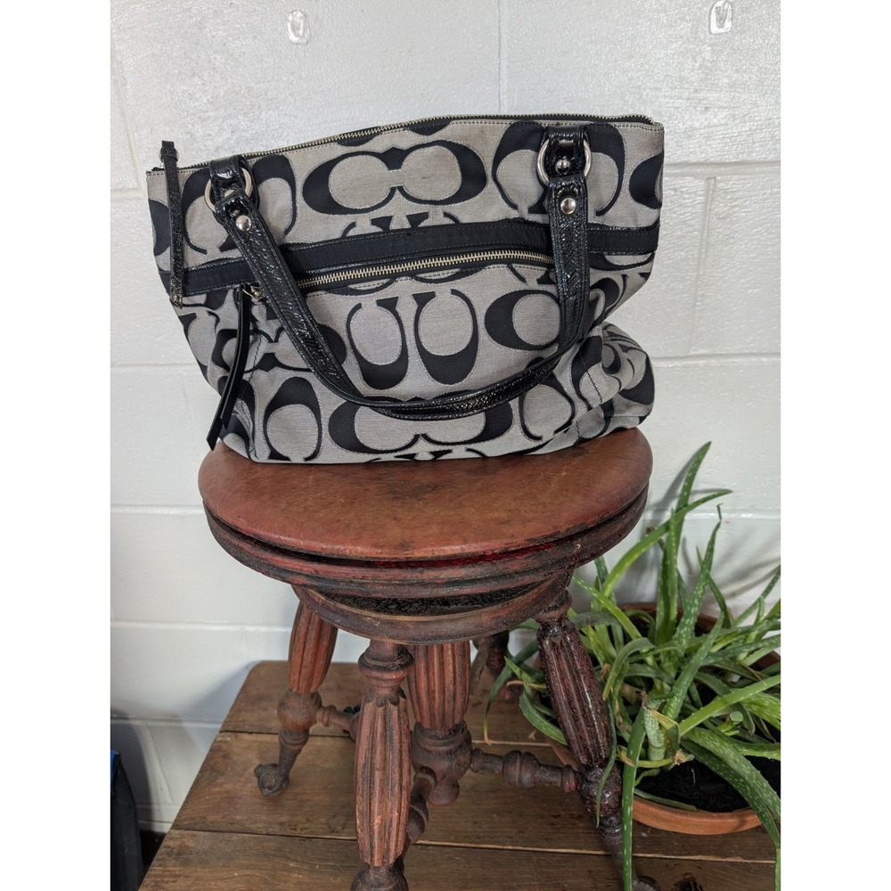 Coach Poppy Y2K 18979 Vintage Signature Monogram Lage Hobo Bag